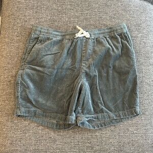 Lightly worn pacsun ribbed volly shorts